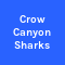 Crow Canyon Sharks